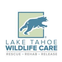 Lake Tahoe Wildlife Care logo, Lake Tahoe Wildlife Care contact details