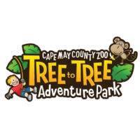 Tree to Tree Cape May logo, Tree to Tree Cape May contact details