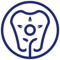 Laser + Holistic Dental logo, Laser + Holistic Dental contact details