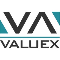 Valuex Group Ltda logo, Valuex Group Ltda contact details