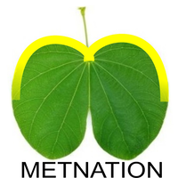 METNATION TECHNOLOGIES logo, METNATION TECHNOLOGIES contact details