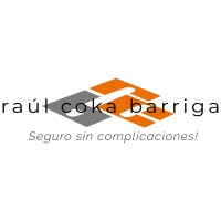 raúl coka barriga - Asesora y Productora de Seguros logo, raúl coka barriga - Asesora y Productora de Seguros contact details