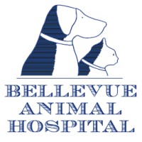 Bellevue Animal Clinic logo, Bellevue Animal Clinic contact details