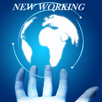 New Working srl logo, New Working srl contact details