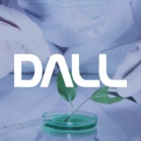 DALL Soluções Analíticas e Empresariais logo, DALL Soluções Analíticas e Empresariais contact details