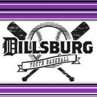 Dillsburg Youth Baseball logo, Dillsburg Youth Baseball contact details