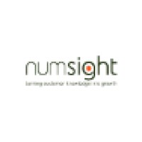 Numsight, Data Marketing Consulting logo, Numsight, Data Marketing Consulting contact details