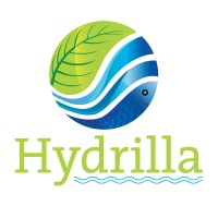 Hydrilla logo, Hydrilla contact details