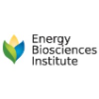 Energy Biosciences Institute logo, Energy Biosciences Institute contact details