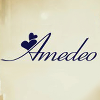 Amedeo logo, Amedeo contact details