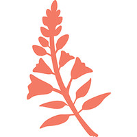 Snapdragon Counseling logo, Snapdragon Counseling contact details