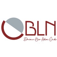 BLN Customs Brokerage & Logistics logo, BLN Customs Brokerage & Logistics contact details