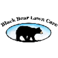 Black Bear Lawn Care logo, Black Bear Lawn Care contact details