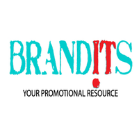 BRANDITS LLC logo, BRANDITS LLC contact details