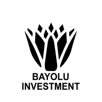 Bayolu Investments logo, Bayolu Investments contact details