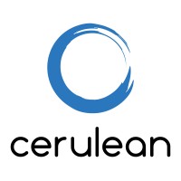 Cerulean Technologies logo, Cerulean Technologies contact details