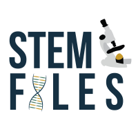 STEM Files logo, STEM Files contact details