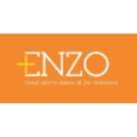 Enzo Advisors Ltd logo, Enzo Advisors Ltd contact details