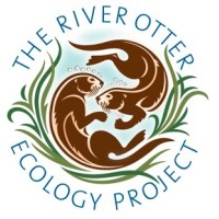 River Otter Ecology Project logo, River Otter Ecology Project contact details