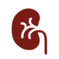 Eugene Springfield Nephrology Associates logo, Eugene Springfield Nephrology Associates contact details