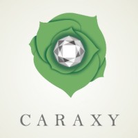 CARAXY Grown Diamonds logo, CARAXY Grown Diamonds contact details