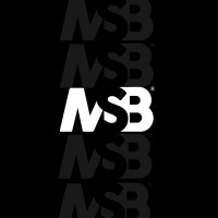 MSB Consulting LLC logo, MSB Consulting LLC contact details