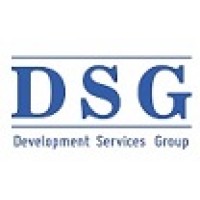 DSG LLC logo, DSG LLC contact details