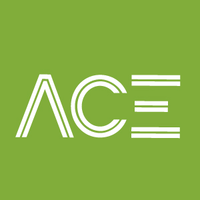 ACE Audit Consulting Enterprise logo, ACE Audit Consulting Enterprise contact details