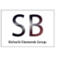 Shlomo Bichachi Diamonds LTD logo, Shlomo Bichachi Diamonds LTD contact details