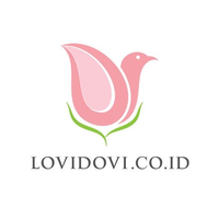 lovidovi.co.id logo, lovidovi.co.id contact details