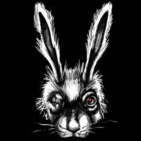 One-Eyed Rabbit logo, One-Eyed Rabbit contact details