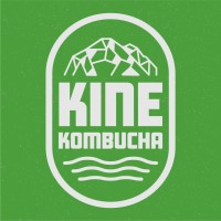 Kine Kombucha logo, Kine Kombucha contact details