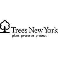 Trees New York logo, Trees New York contact details