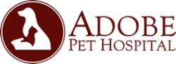 Adobe Pet Hospital logo, Adobe Pet Hospital contact details