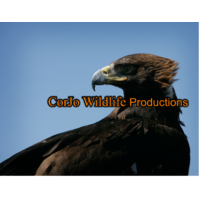 Corjo Wildlife Productions logo, Corjo Wildlife Productions contact details