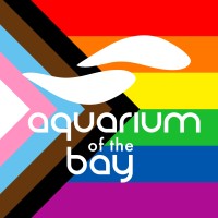 Aquarium of the Bay logo, Aquarium of the Bay contact details