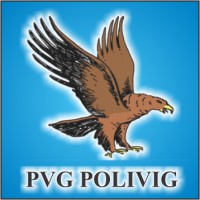 Pvg Polivig logo, Pvg Polivig contact details