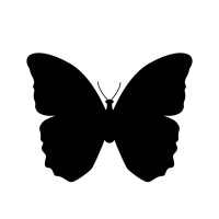 Event Butterfly, Inc logo, Event Butterfly, Inc contact details