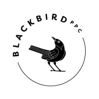 BlackBird PPC logo, BlackBird PPC contact details