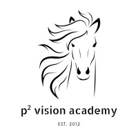 p square vision academy logo, p square vision academy contact details