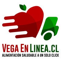 Vegaenlinea.cl logo, Vegaenlinea.cl contact details