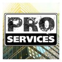 Pro Services Chile logo, Pro Services Chile contact details