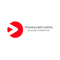 Tudor & Grey Capital logo, Tudor & Grey Capital contact details