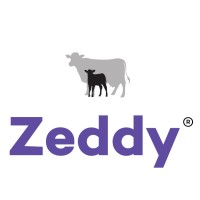 Zeddy logo, Zeddy contact details