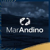 Mar Andino Latam logo, Mar Andino Latam contact details