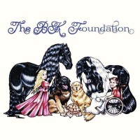 The BK Foundation, INC logo, The BK Foundation, INC contact details