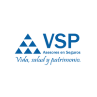 VSP Asesores en Seguros logo, VSP Asesores en Seguros contact details