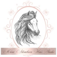 Mane Attrackion Hair Studio logo, Mane Attrackion Hair Studio contact details