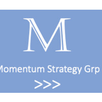 Momentum Strategy Group LLC. logo, Momentum Strategy Group LLC. contact details