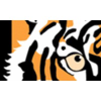 Tiger Eye Studios logo, Tiger Eye Studios contact details